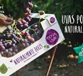 Dona Uva faz-se à estrada com os portugueses nestas férias