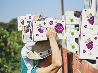 Dona Uva marca o início da colheita com apresentação de novo packaging